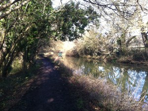 Basingstoke Canal